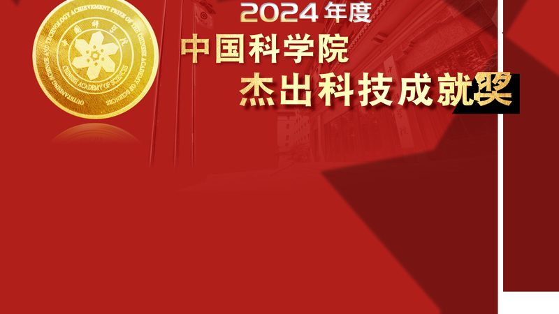 上海数字化解决方案：洞察其优势与挑战