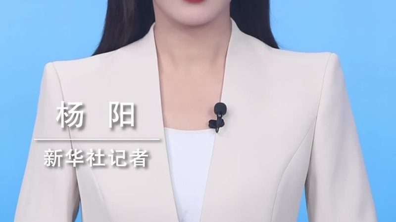 制造业数据湖仓一体案例解析：构建高效数据管理平台